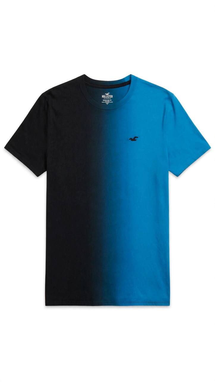 T-shirt HOLLISTER 001